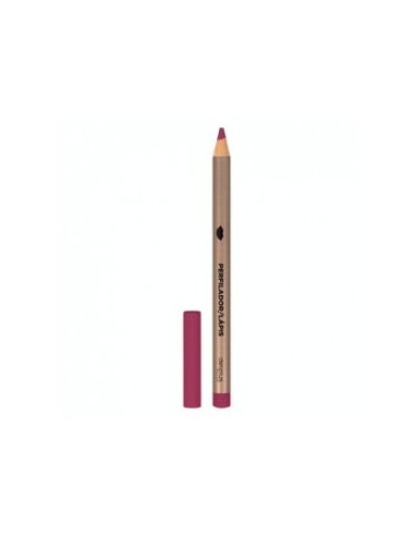 Lip Pencil Deliplus 05 Strawberry 1 pc.