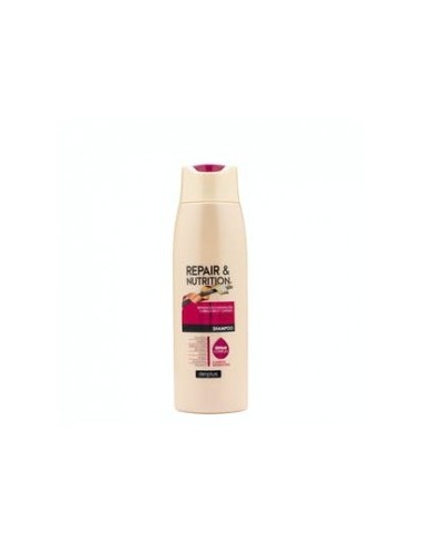 Repair & Nutrition Deliplus Shampoo for dry, damaged hair with 8 repairing agents 400 ml bottle